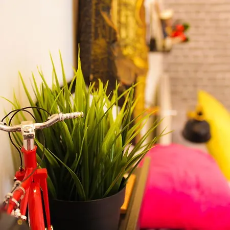 Fab 'n' Chic * ספליט